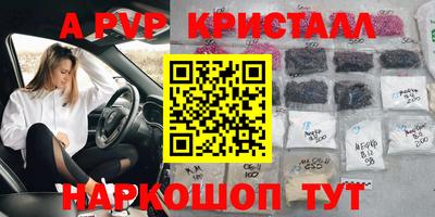 гашик Донецк