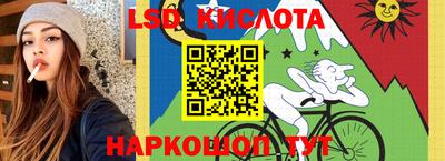 гашик Донецк