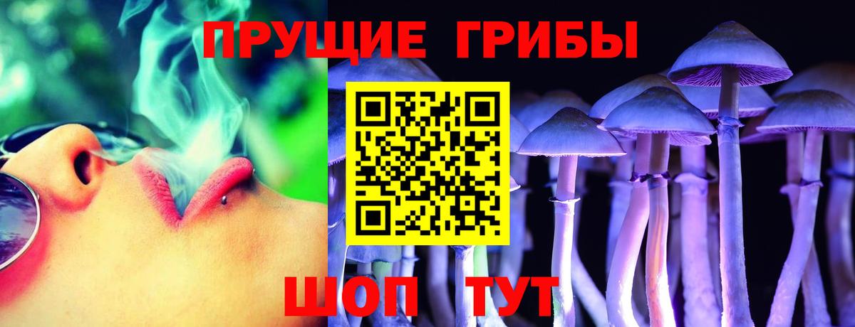 Галлюциногенные грибы Magic Shrooms Новоалександровск