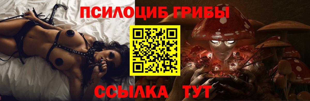 Галлюциногенные грибы прущие грибы  где купить   Новоалександровск  Вход с VPN 